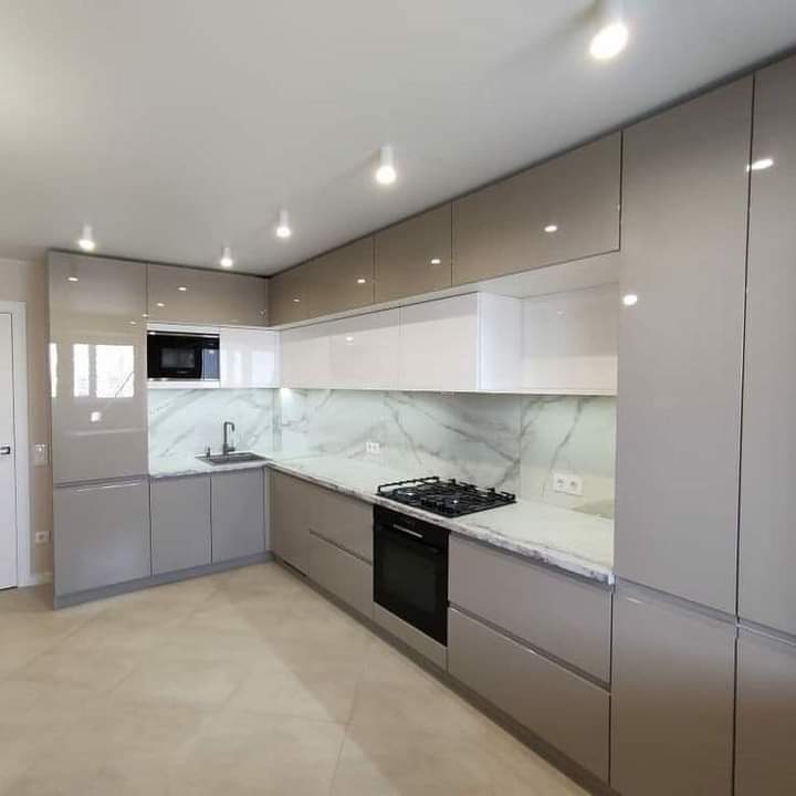 Wet and dry kitchen remodel